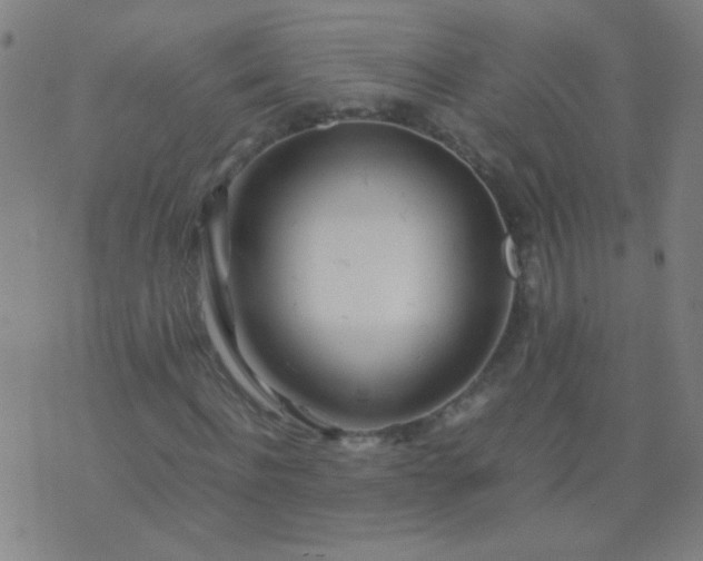 X0000074290916200609081848