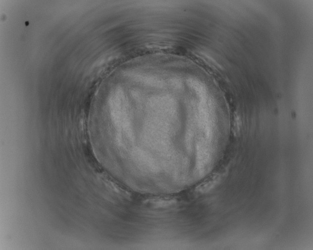 X0000074290917200609081848