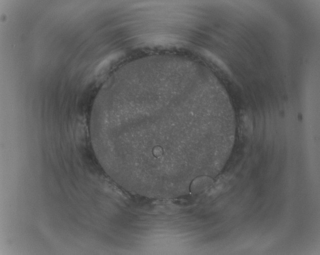 X0000074290918200609081848