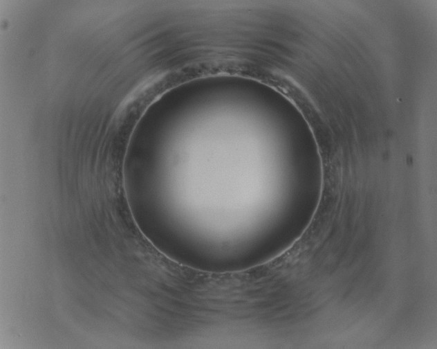 X0000074290919200609081848