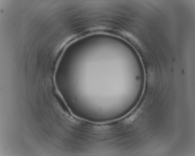 X0000074290921200609081848