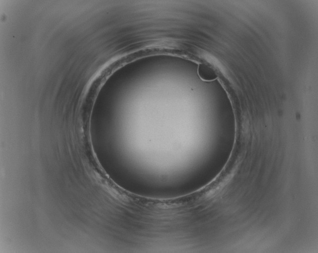 X0000074290923200609081848