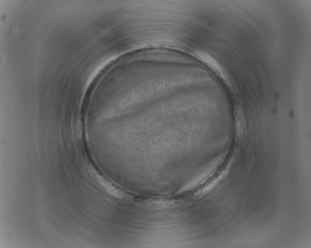 X0000074290924200609081848