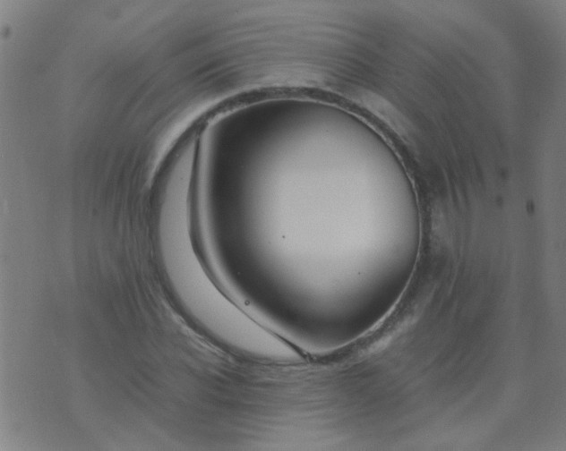 X0000074290926200609081848