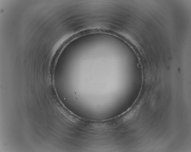 X0000074290927200609081848