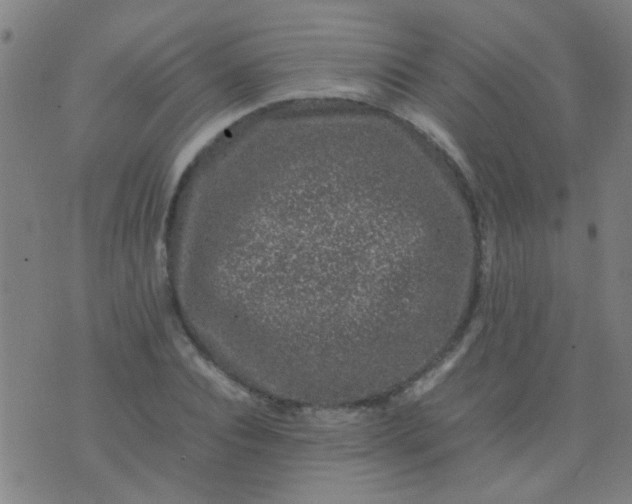 X0000074290928200609081848