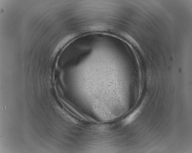 X0000074290930200609081848