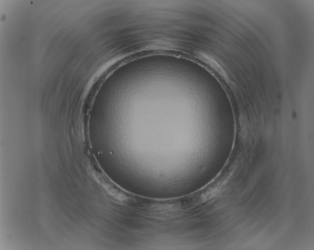 X0000074290931200609081848