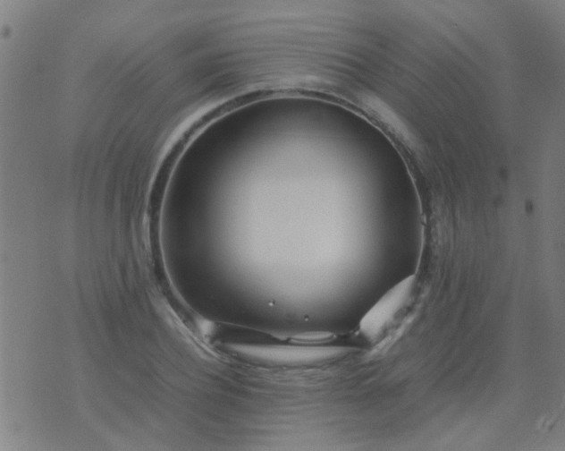 X0000074290932200609081848