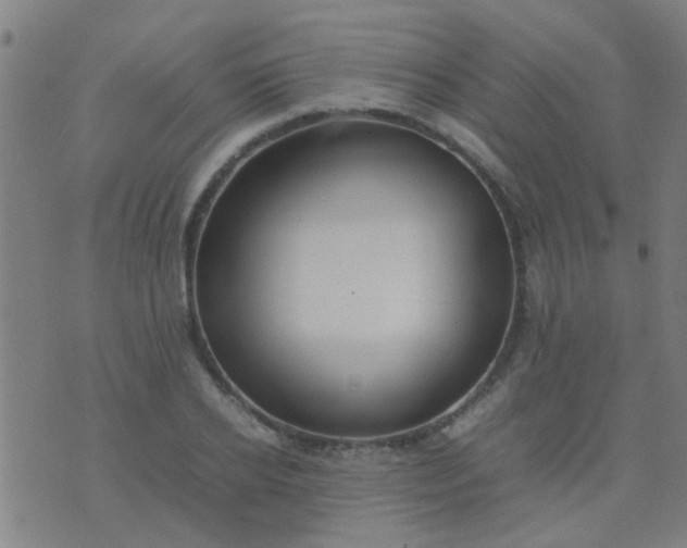 X0000074290934200609081848