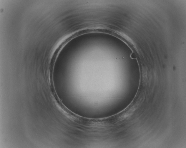 X0000074290935200609081848