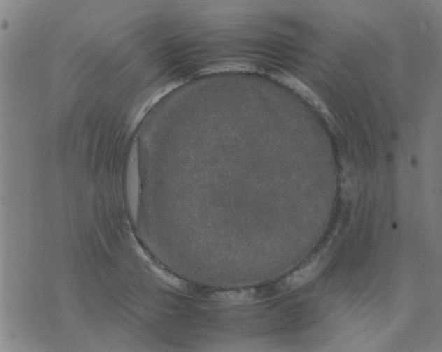 X0000074290937200609081848