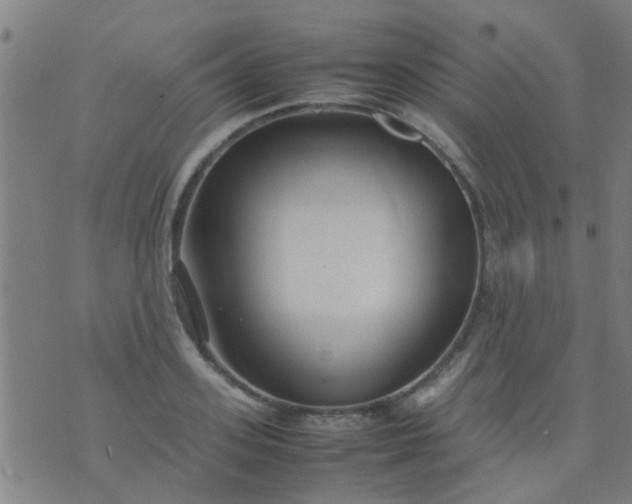 X0000074290939200609081848