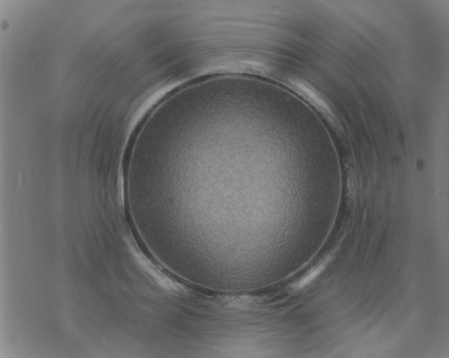 X0000074290940200609081848