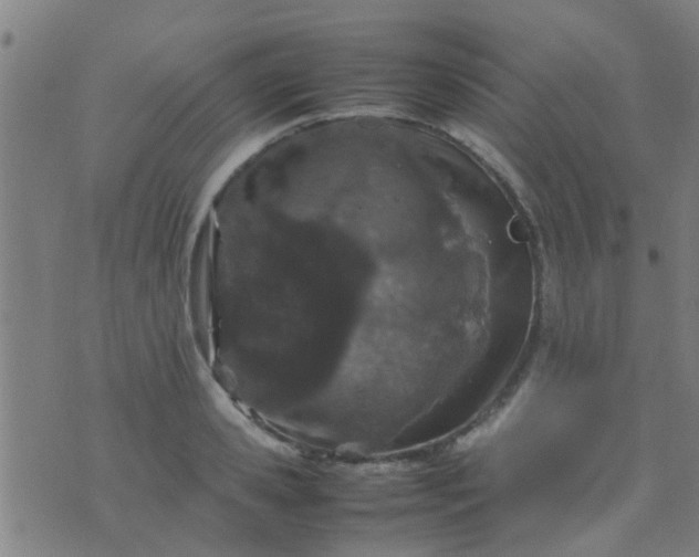 X0000074290941200609081848