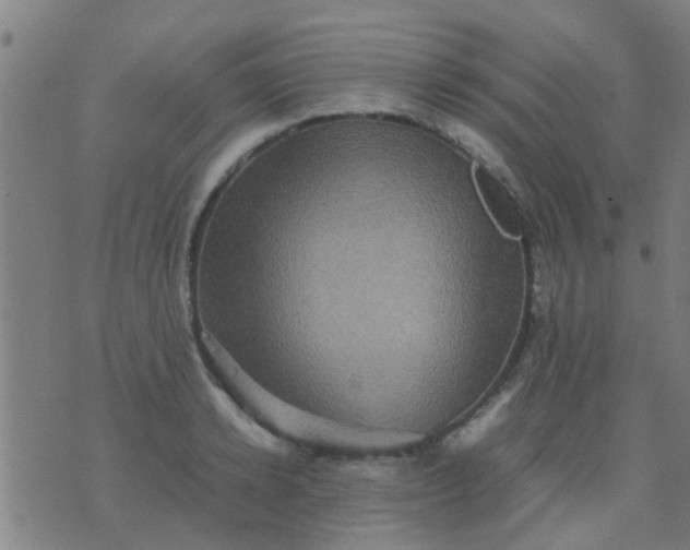 X0000074290942200609081848