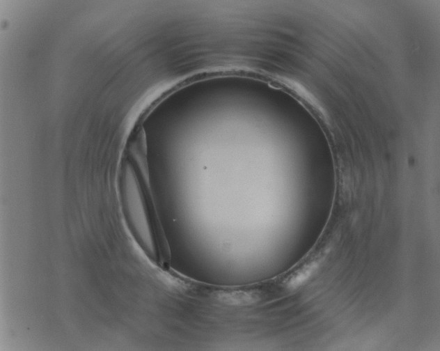 X0000074290943200609081848