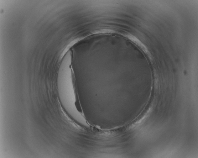 X0000074290945200609081848