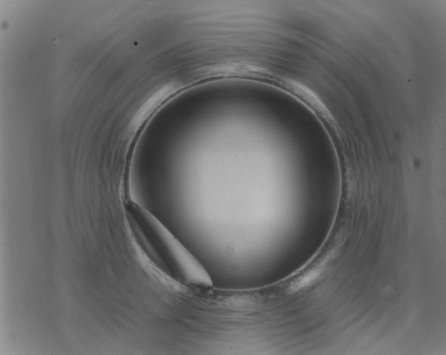 X0000074290946200609081848