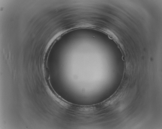 X0000074290947200609081848