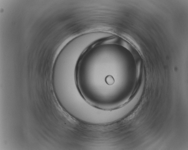 X0000074290948200609081848