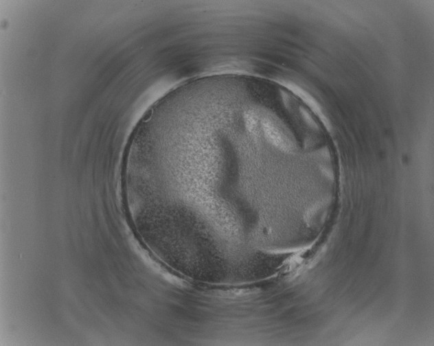 X0000074290949200609081848