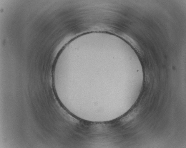 X0000074290950200609081848