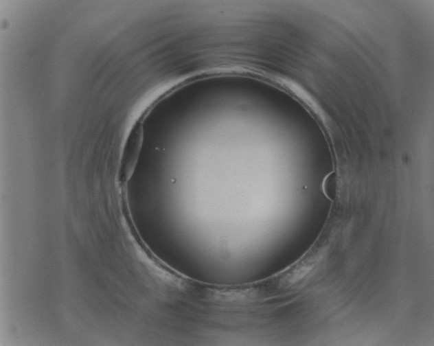 X0000074290951200609081848