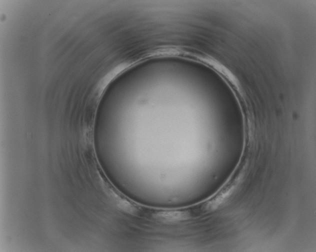 X0000074290953200609081848