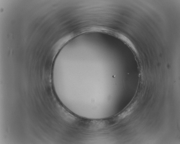 X0000074290954200609081848