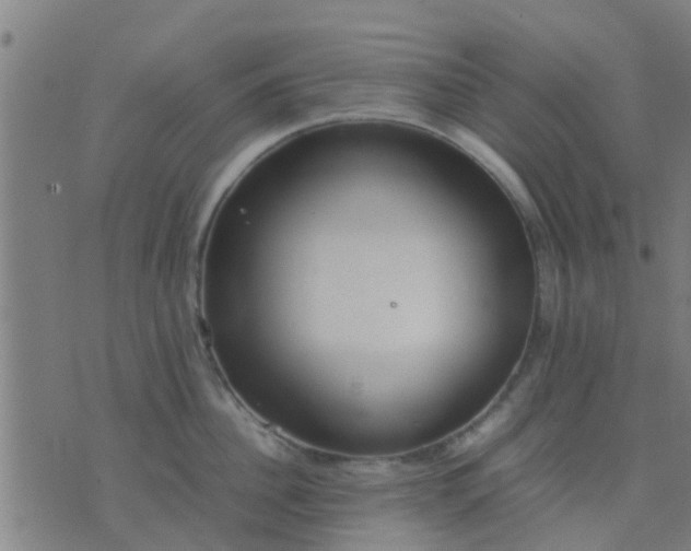 X0000074290956200609081848