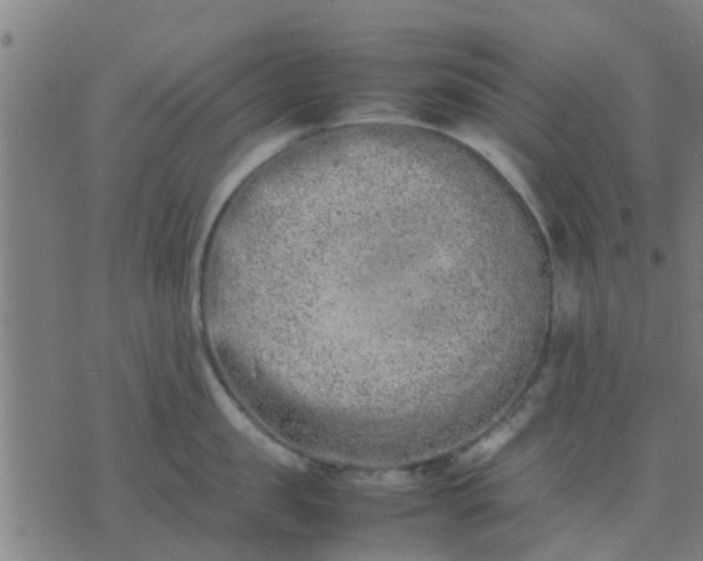 X0000074290957200609081849