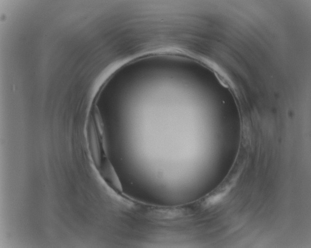 X0000074290959200609081849