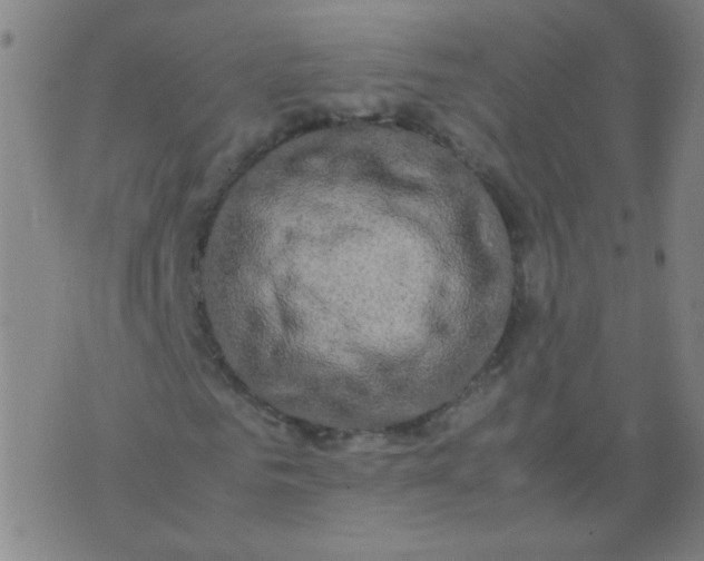 X0000074290961200609081848