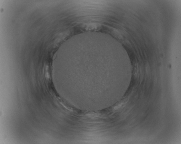 X0000074290962200609081848