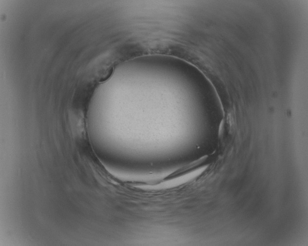 X0000074290963200609081848