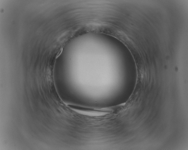 X0000074290964200609081848