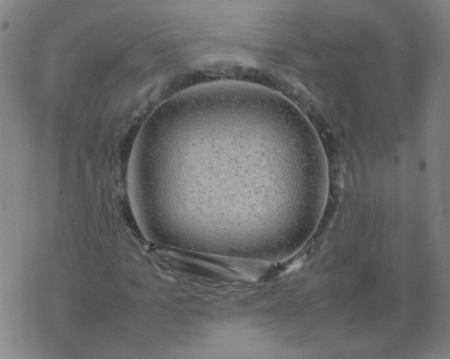 X0000074290965200609081848