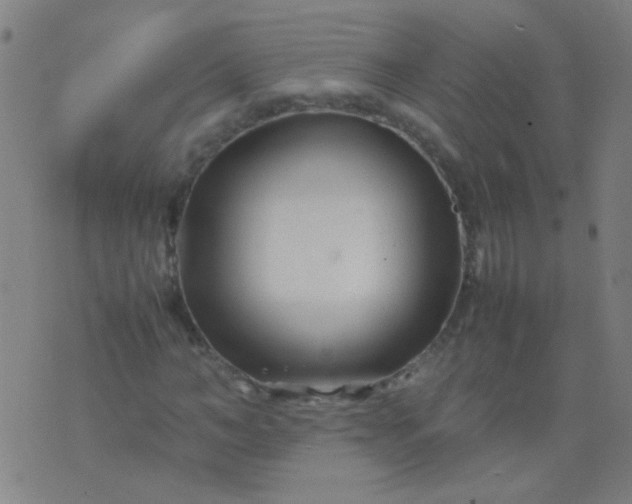 X0000074290966200609081848