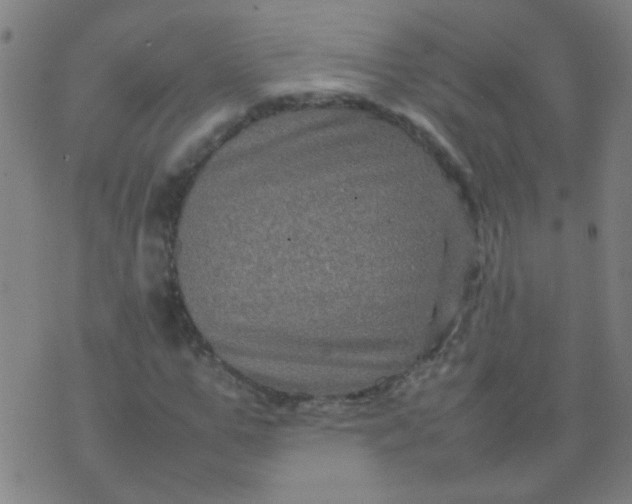 X0000074290967200609081848