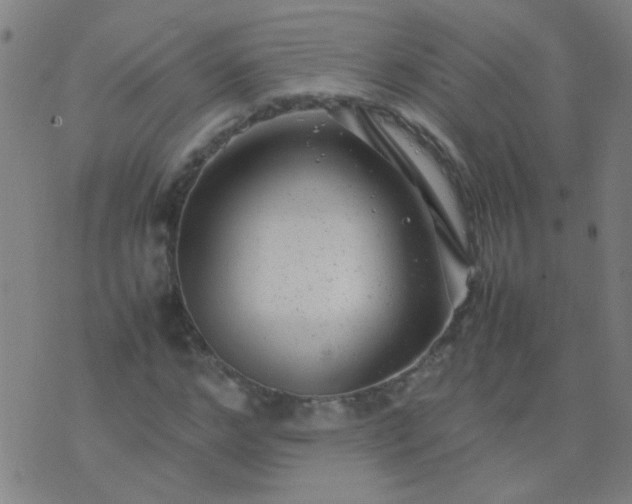 X0000074290968200609081848