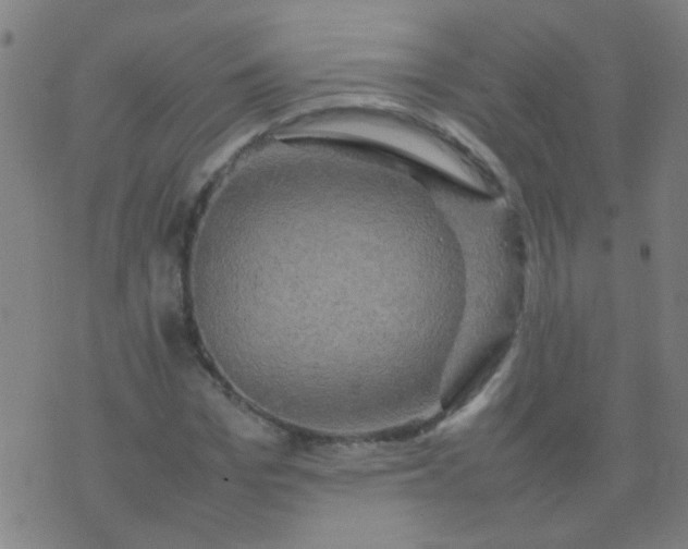 X0000074290969200609081848