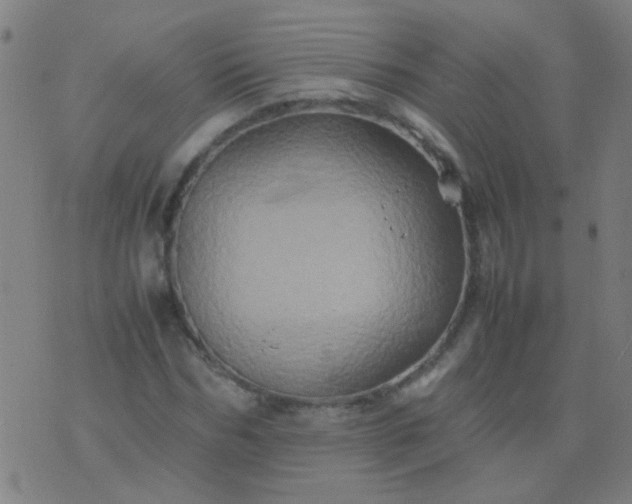 X0000074290970200609081848