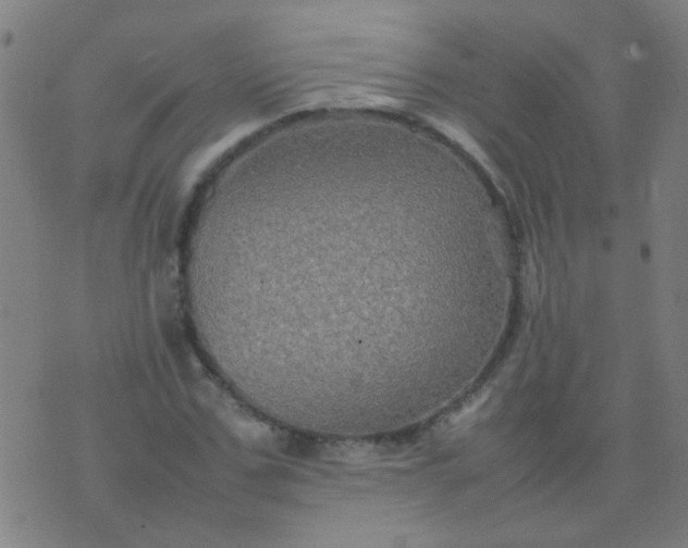 X0000074290971200609081848