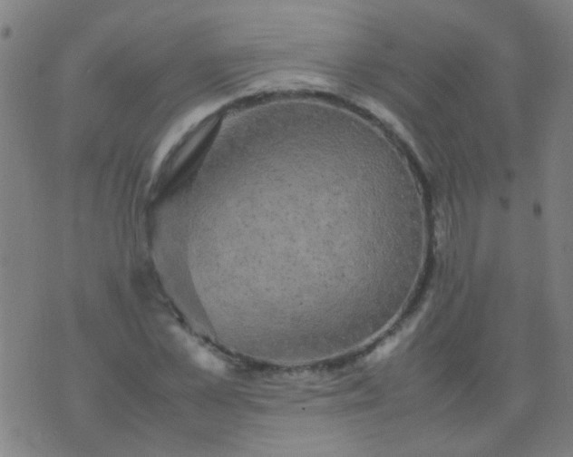 X0000074290973200609081848