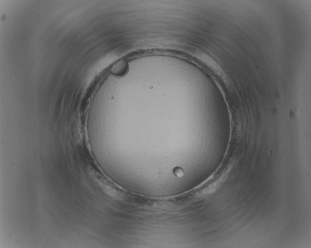 X0000074290974200609081848