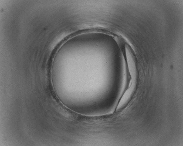 X0000074290975200609081848