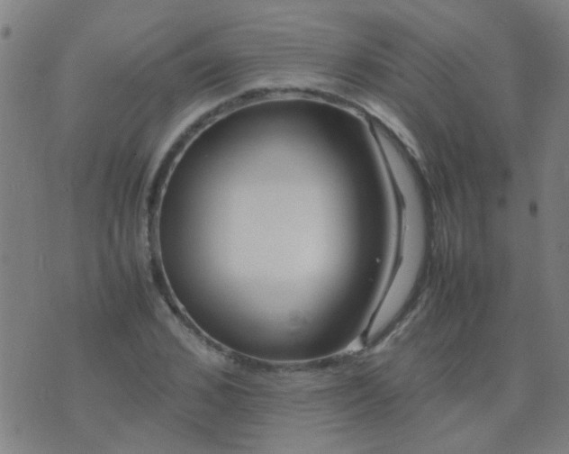 X0000074290976200609081848