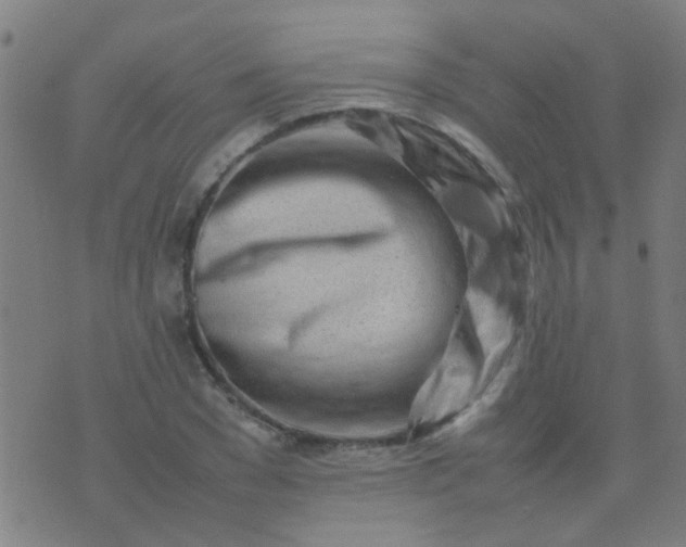 X0000074290977200609081848