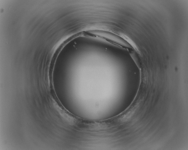 X0000074290980200609081847